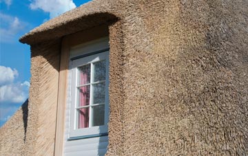Suttieside thatch roof disadvantages